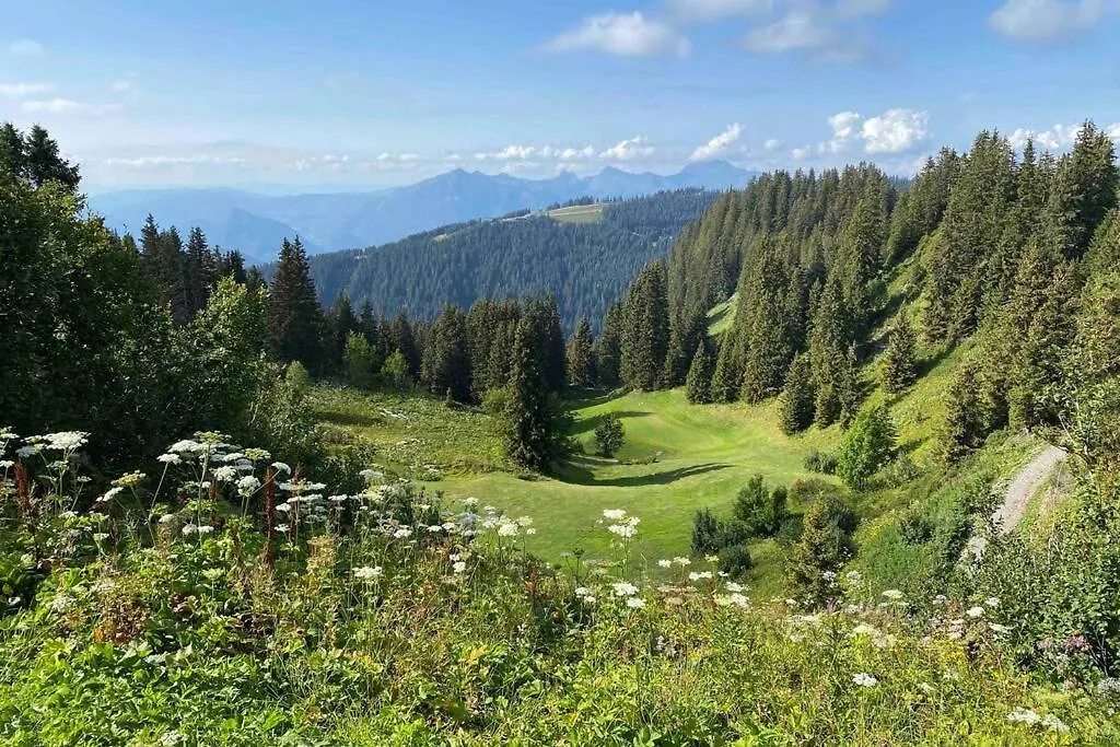 Vue Panoramique Sur Les Montagnes Plein Sud - T2 Skis Aux Pieds, Piscine & Spa Flaine 0*,